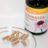 Vitaking Echinacea Kivonat Kapszula