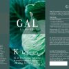 gal K komplex