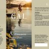 gal a vitamin 1 1