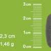 meretezes alga complex