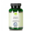 GG Moringa 1024x768 1 wpp1625832982851