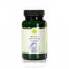 GG DHA Algae 1024x768 1 wpp1625857055600 e1625857078161