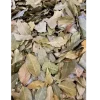 Paleolit baberlevel egesz 1kg wpp1648037303564 e1648037366983