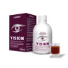 vision1