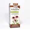 JutaVit Echinacea cseppek 50ml 1