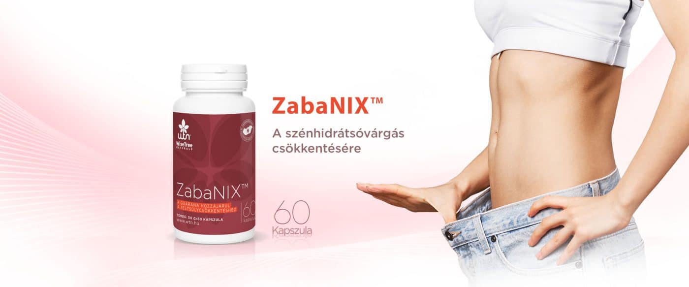 zabanix header 1920x800 v4 1 fogyas fotoval