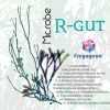 5999860312284 altpic 1