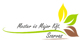 Mester és Major